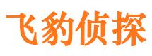 陵水市调查公司